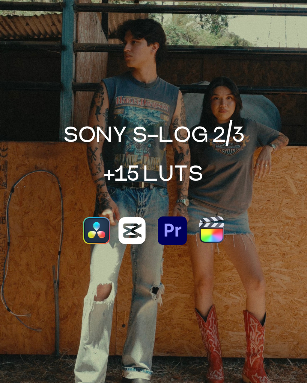 LUTS PAQUETE COMPLETO +15